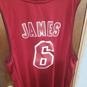 Heat LeBron James Jersey
